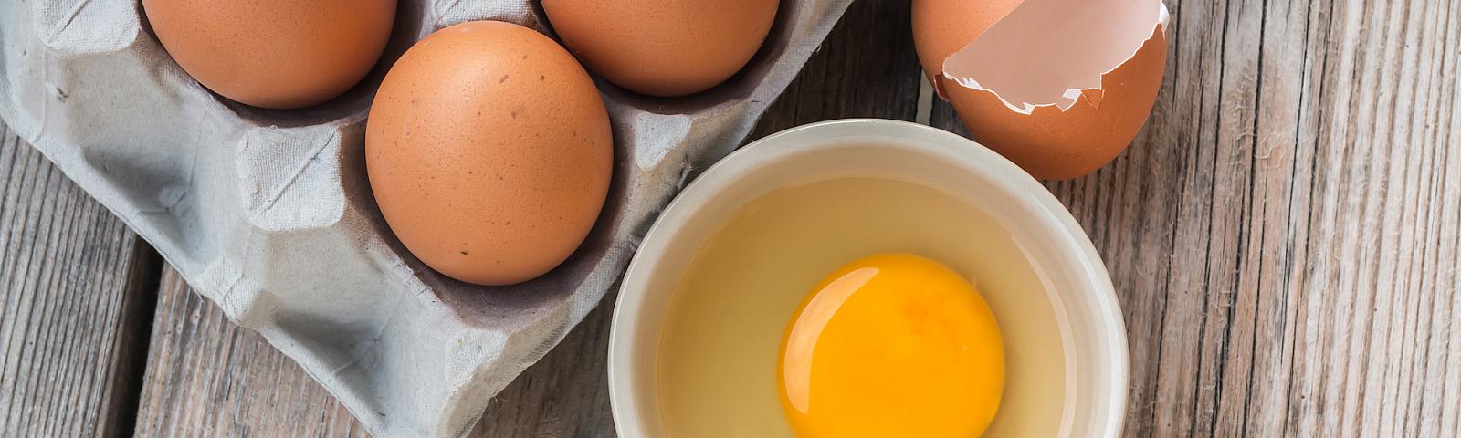 eggs
